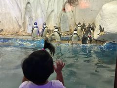 -太平洋海底世界