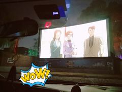 -枫花园汽车电影院(朝阳公园店)