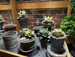 -青木造型HAIR·あおき髪を刈る潮人店