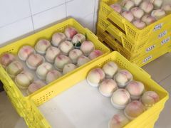 -老袁家蜜桃农场·阳山水蜜桃