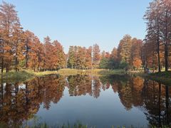 -东湖落雁景区