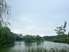 -苏州太湖国家湿地公园