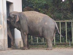 -合肥野生动物园