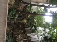 香港大学-香港大学