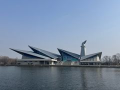 -盐城丹顶鹤湿地生态旅游区