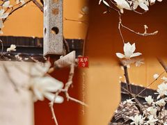 -龙华寺