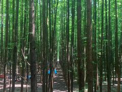 -山王坪喀斯特国家生态公园
