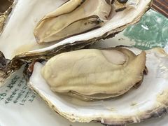 -叶存利海鲜大馅饺子(海宁路总店)