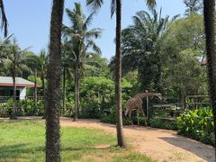 -海南热带野生动植物园