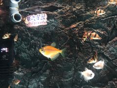 -苏州海洋馆