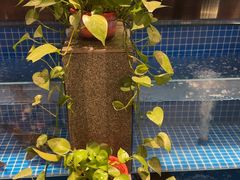 -涿派·炝锅鱼(涿州店)