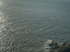 -普陀山雷迪森庄园