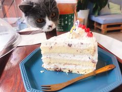 -有猫主题·治愈系猫咖(曾厝垵店)