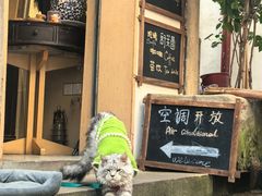 -磁器口古镇