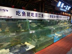 水产区-胖姐渔村(中源大道店)