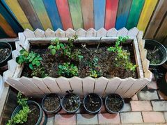 -Rabbit Cafe私房西餐甜点咖啡(栖霞路店)