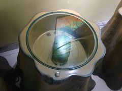 -上海昆虫博物馆