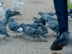 -伦敦塔桥
