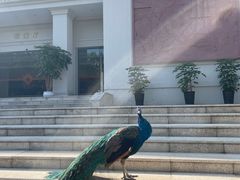 -西昌邛海宾馆