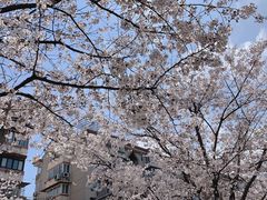 -永乐路-路侧停车场