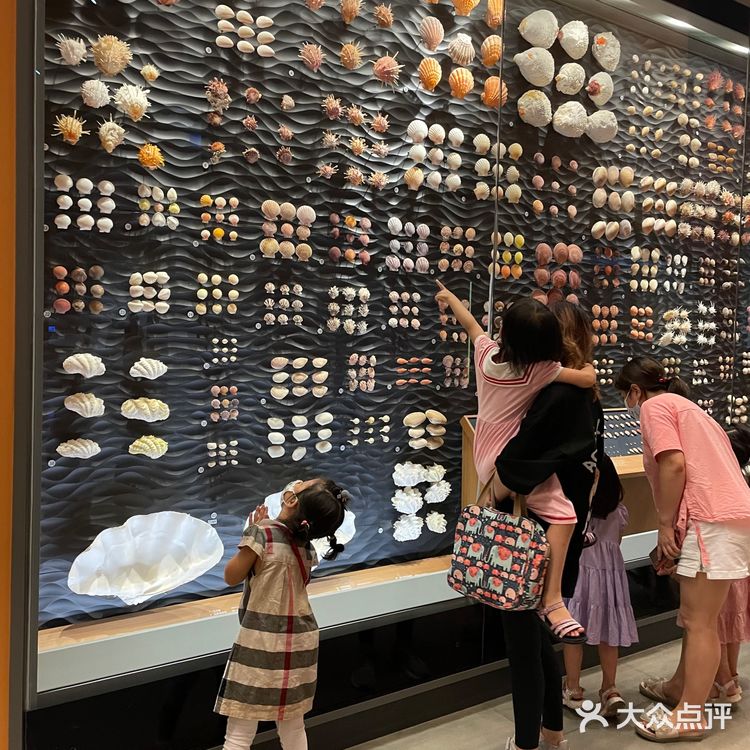 今天带小朋友溜达了一下上海自然博物馆 感慨有二：