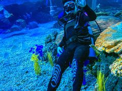 -华夏文旅海洋公园