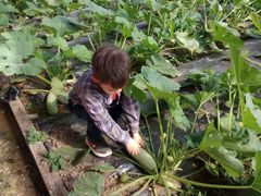 -万源龙顺度假庄园生态观光园