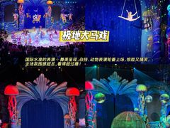 -海合安武汉极地海洋公园