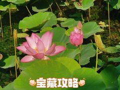 -石湖景区