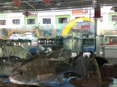 -皮记海鲜1995(寮步店)
