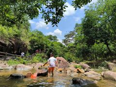 -广州白江湖森林公园