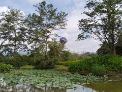 -中国科学院西双版纳热带植物园
