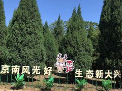 -大兴滨河森林公园