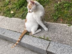 -虹御轩·传承江浙菜(虹桥店)