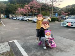 -大屏嶂森林公园