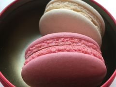 -麦雪尔甜品·生日蛋糕(新街口旗舰店)