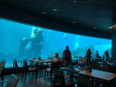 大堂-海棠湾洲际-涛·海底餐厅·美人鱼·自助餐·海底隧道