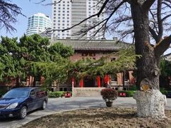 -南京钟山宾馆(江苏省会议中心)