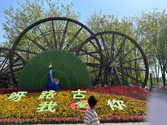 -呀路古热带植物园