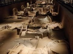 -洛阳周王城天子驾六博物馆