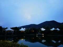 -帐篷客·溪龙茶谷度假酒店