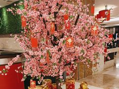 -临空皇冠假日酒店-西餐厅(首都机场店)