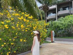 -普吉岛凯悦酒店