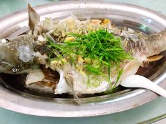 -铁炉农家菜馆
