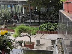-蘇河湾·新鲁菜·泰山宴(泰山店)