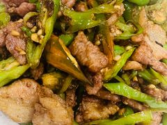 -小四川菜馆(托乐嘉店)