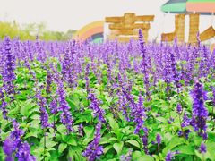 -嘉北郊野公园