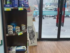 -瑞派·关忠动物医院·异宠专科·犬猫肿瘤·皮肤专科(望京店)