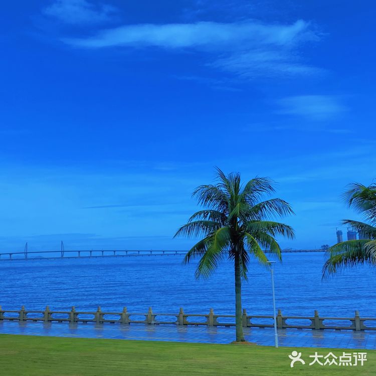 珠海观光巴士