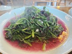 时令蔬菜（米苋）-双塔老饭店